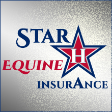 Who needs Horse Insurance