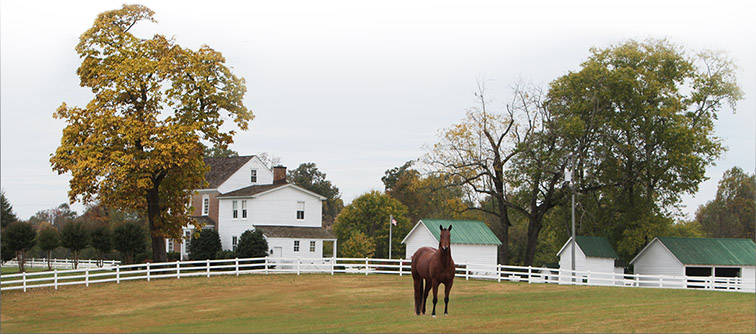 Farm