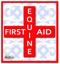 Equine First Aid