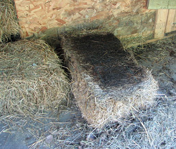 molded hay
