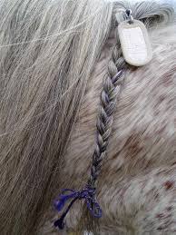 Horse Identification Tag
