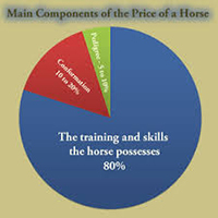 Pie Chart